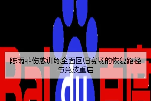 陈雨菲伤愈训练全面回归赛场的恢复路径与竞技重启